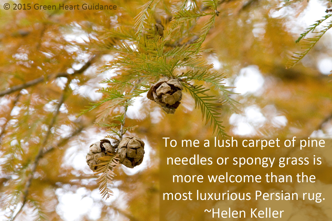 To me a lush carpet of pine needles or spongy grass is more welcome than the most luxurious Persian rug. ~Helen Keller