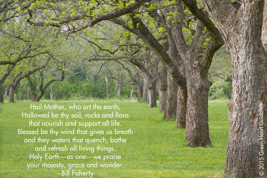 Hail Mother, who art the earth, Hallowed be thy soil, rocks and flora that nourish and support all life. Blessed be thy wind that gives us breath and they waters that quench, bathe and refresh all living things. Holy Earth--as one--we praise your majesty, grace and wonder. ~Bill Faherty