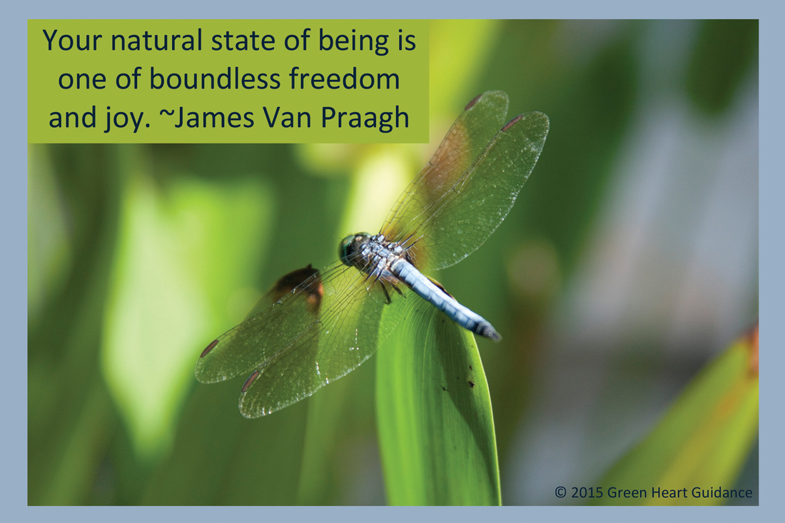 Your natural state of being is one of boundless freedom & joy. ~James Van Praagh