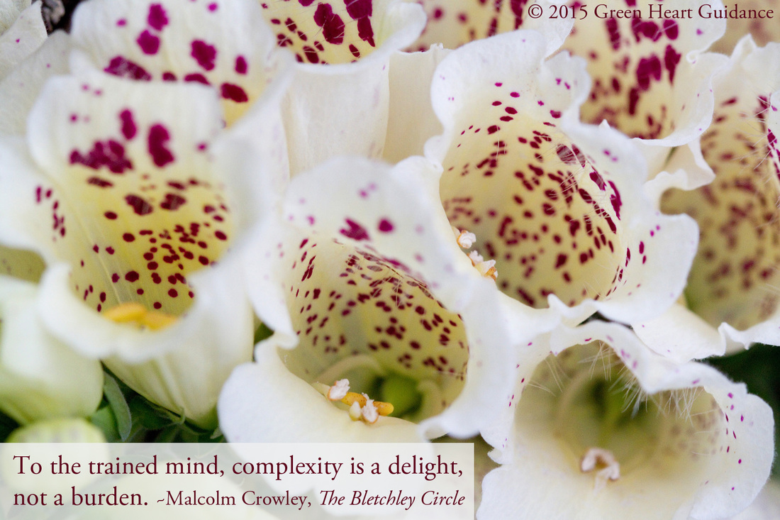To the trained mind, complexity is a delight, not a burden. ~Malcolm Crowley, The Bletchley Circle 