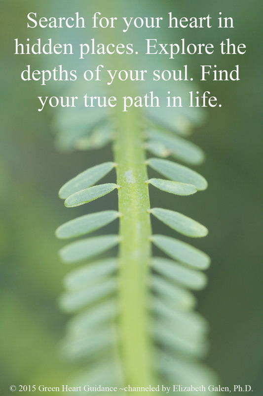 Search for your heart in hidden places. Explore the depths of your soul. Find your true path in life. ~channeled by Elizabeth Galen, Ph.D.