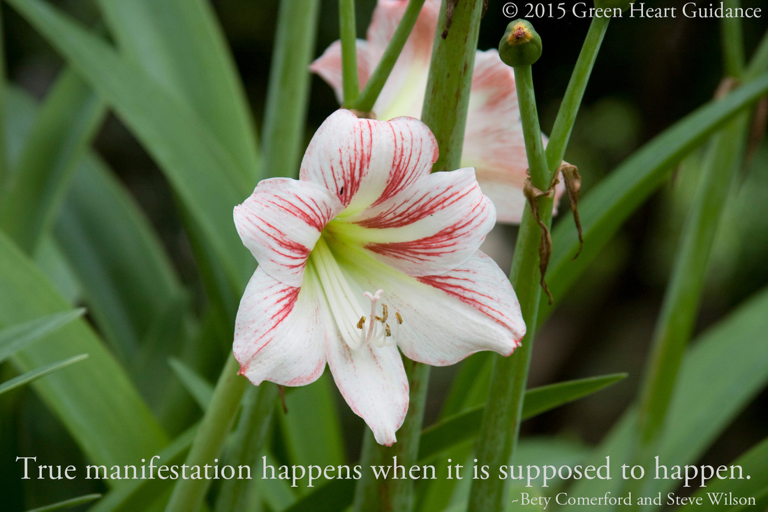 True manifestation happens when it is supposed to happen. ~Bety Comerford and Steve Wilson