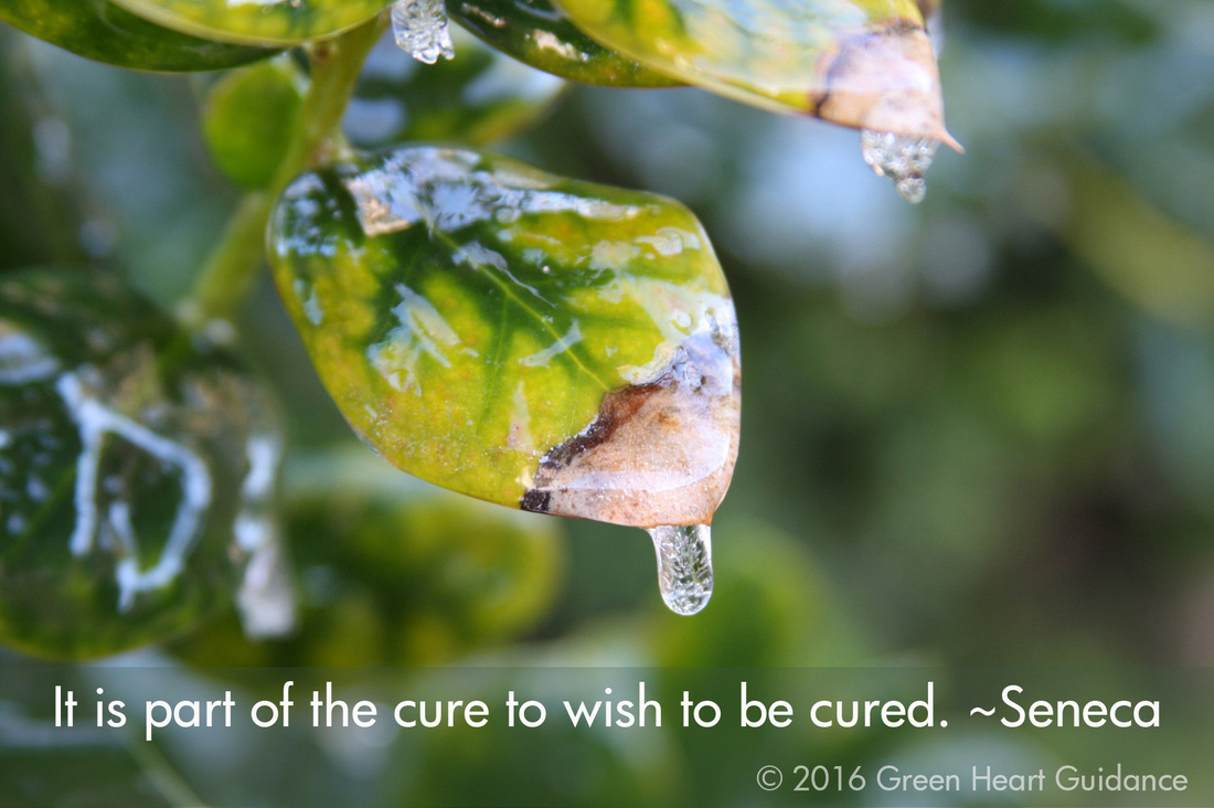It is part of the cure to wish to be cured. ~Seneca 