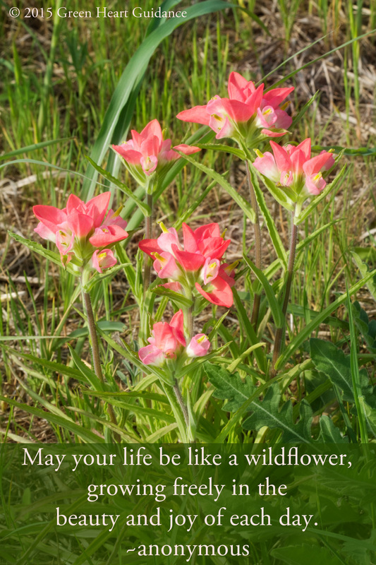  May your life be like a wildflower, growing freely in the beauty and joy of each day. ~anonymous