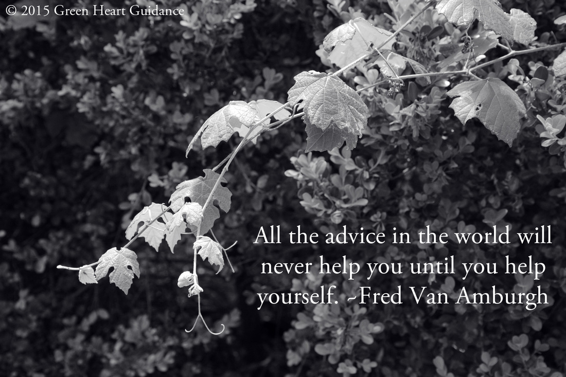 All the advice in the world will never help you until you help yourself. ~Fred Van Amburgh