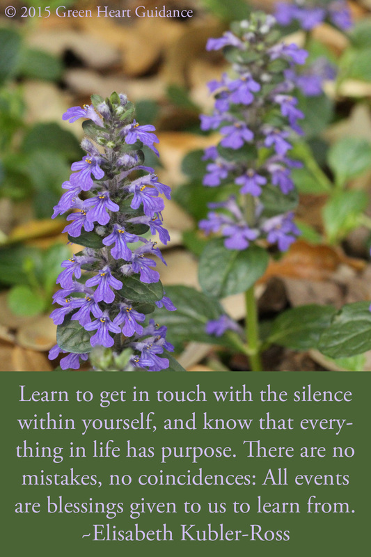 Learn to get in touch with the silence within yourself, and know that everything in life has purpose. There are no mistakes, no coincidences: All events are blessings given to us to learn from. ~Elisabeth Kubler-Ross