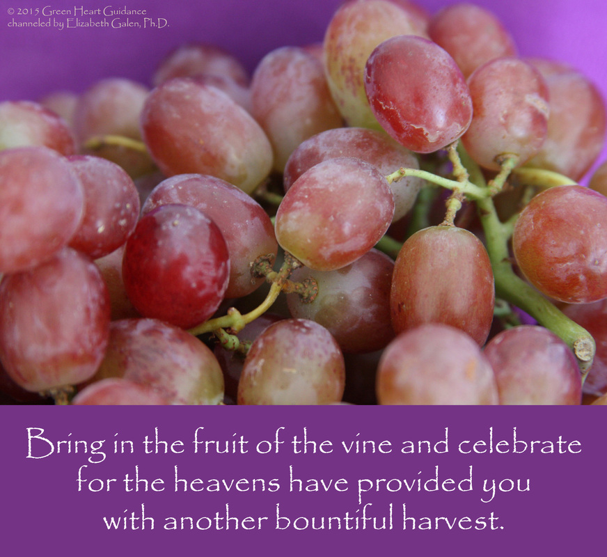 Bring in the fruit of the vine and celebrate for the heavens have provided you with another bountiful harvest. ~channeled by Elizabeth Galen, Ph.D.