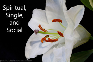 The Spiritual, Single, and Social Meetup by Elizabeth Galen, Ph.D.