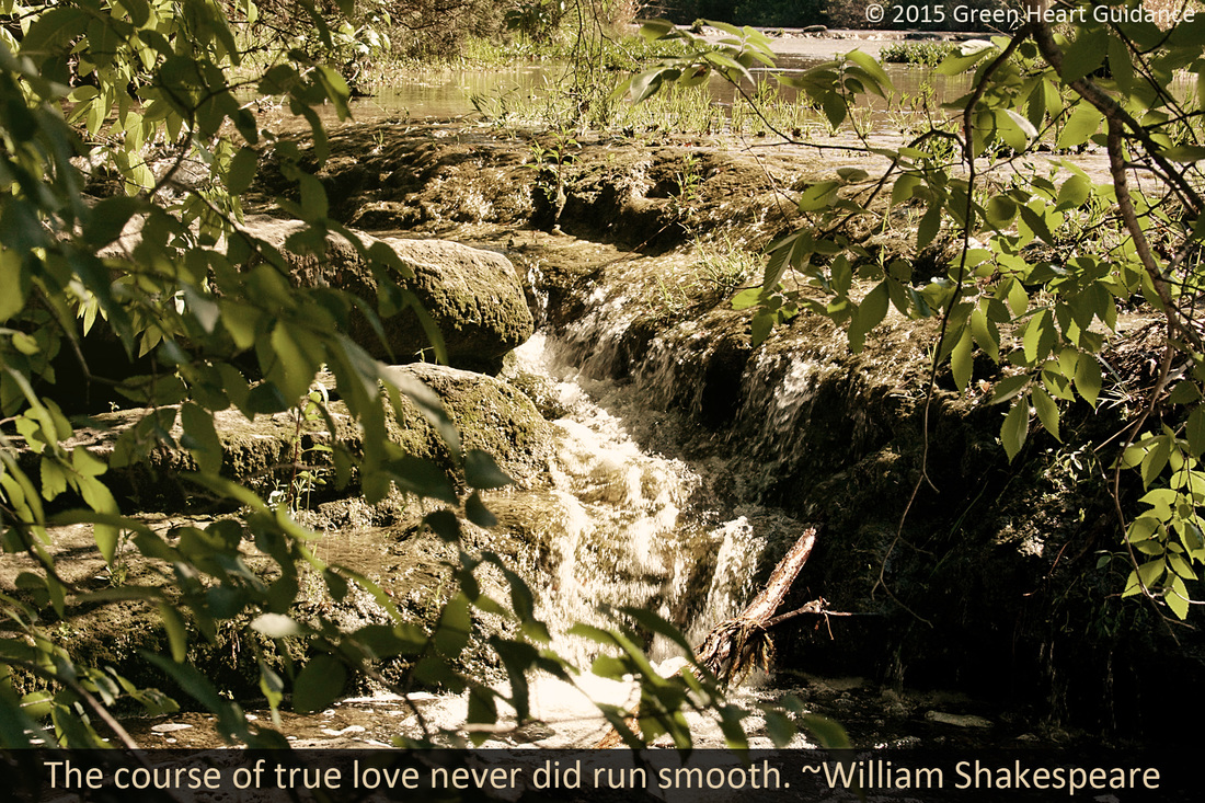 The course of true love never did run smooth. ~William Shakespeare