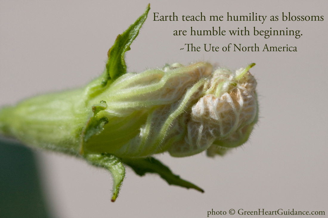 Earth teach me humility as blossoms are humble with beginning. ~The Ute of North America