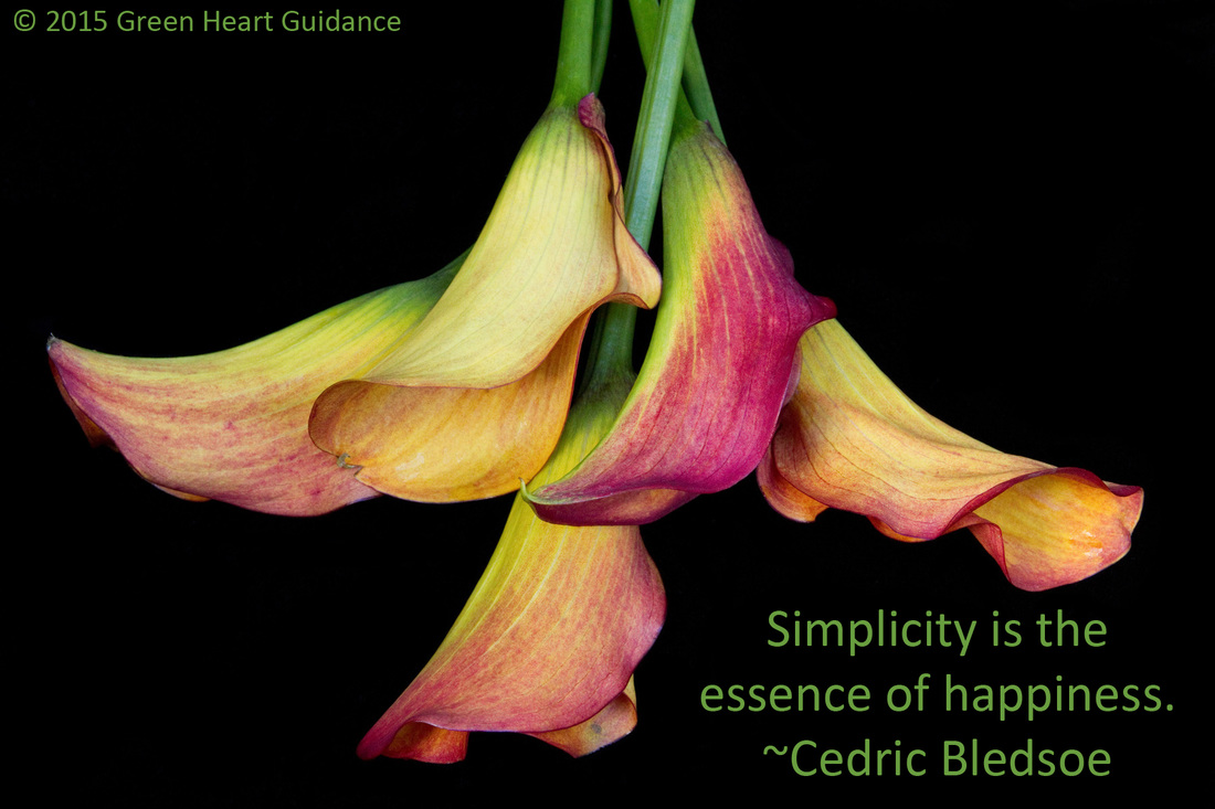 Simplicity is the essence of happiness. ~Cedric Bledsoe