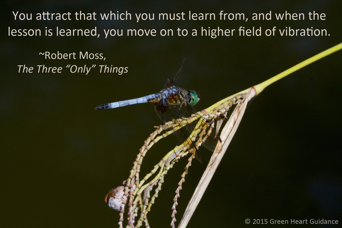 You attract that which you must learn from, and when the lesson is learned, you move on to a higher field of vibration. ~Robert Moss, The Three “Only” Things