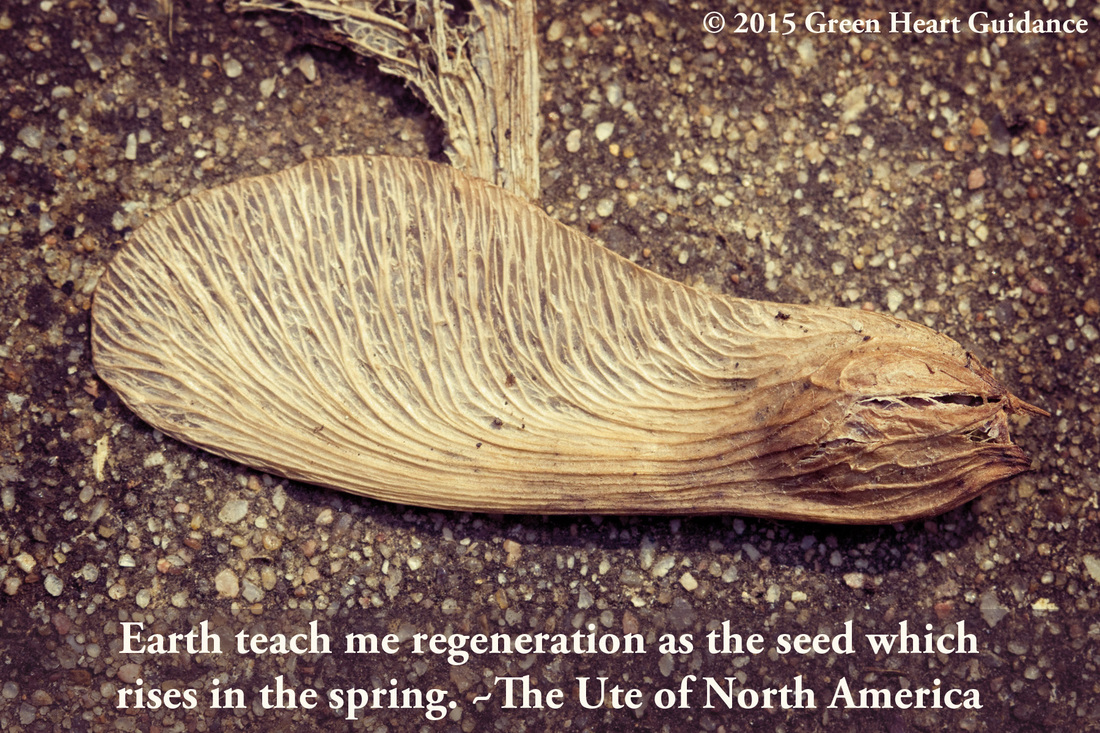 Earth teach me regeneration as the seed which rises in the spring. ~The Ute of North America