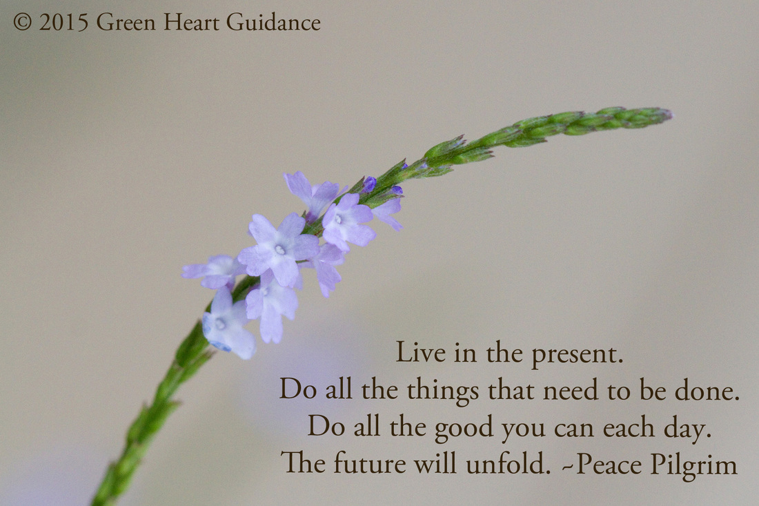 Live in the present. Do all the things that need to be done. Do all the good you can each day. The future will unfold. ~Peace Pilgrim