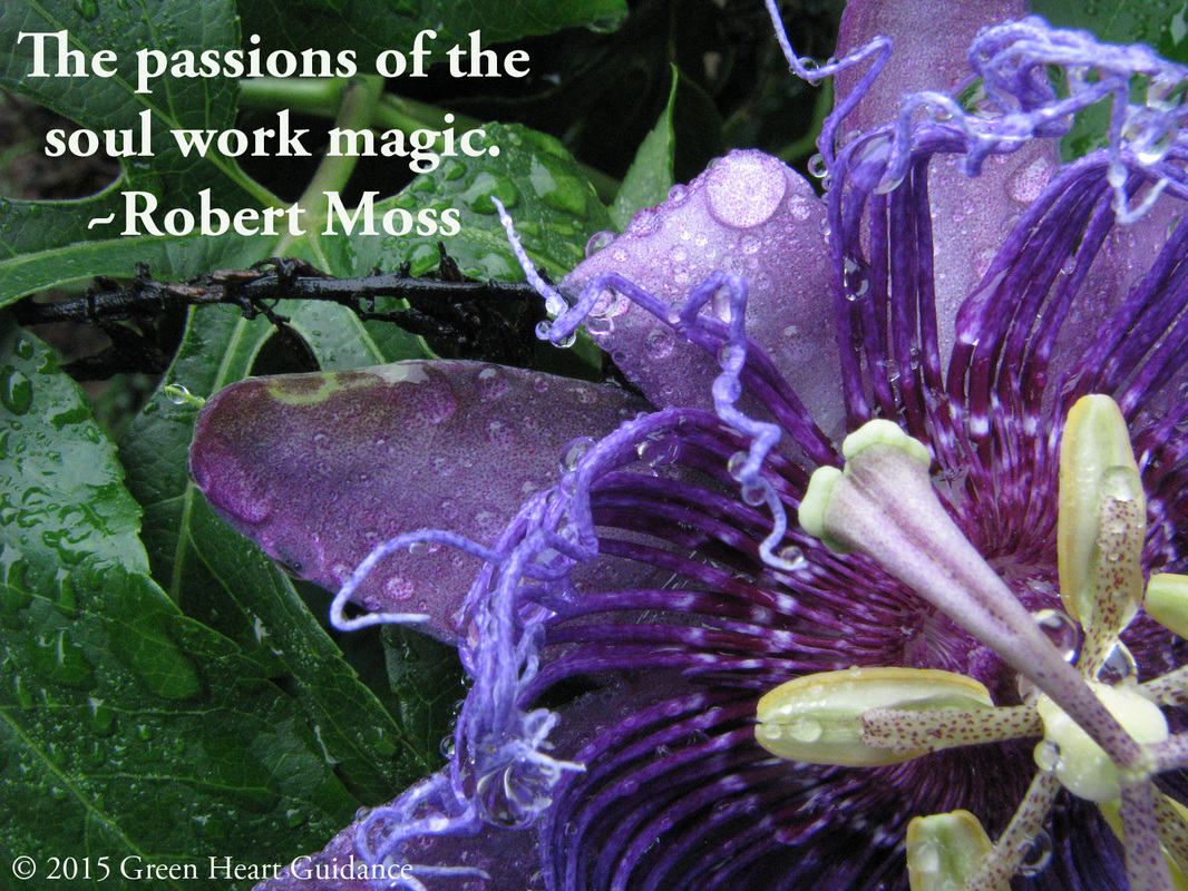The passions of the soul work magic. ~Robert Moss 