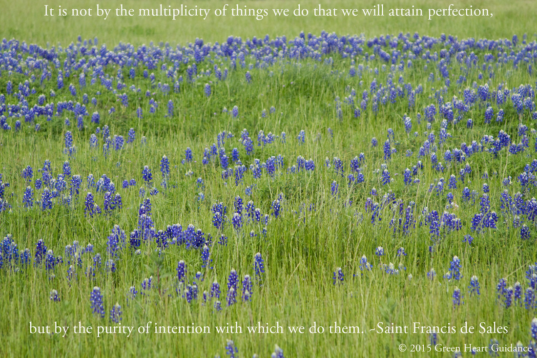 It is not by the multiplicity of things we do that we will attain perfection, but by the purity of intention with which we do them. ~Saint Francis de Sales