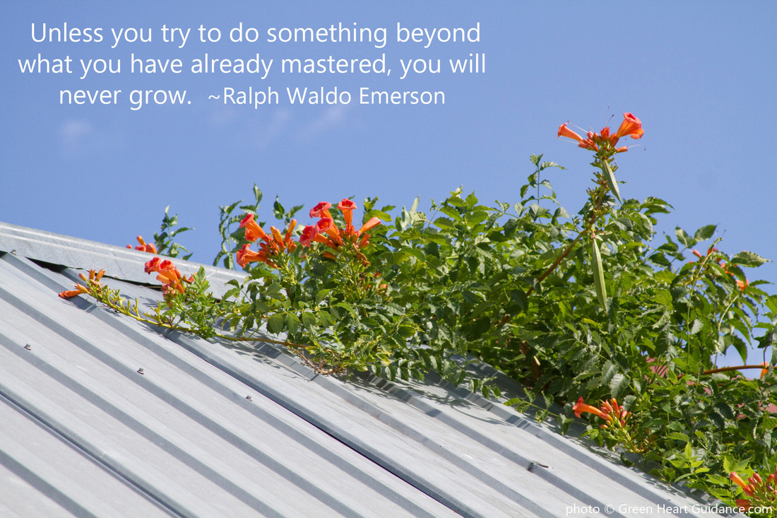 Unless you try to do something beyond what you have already mastered, you will never grow. ~Ralph Waldo Emerson