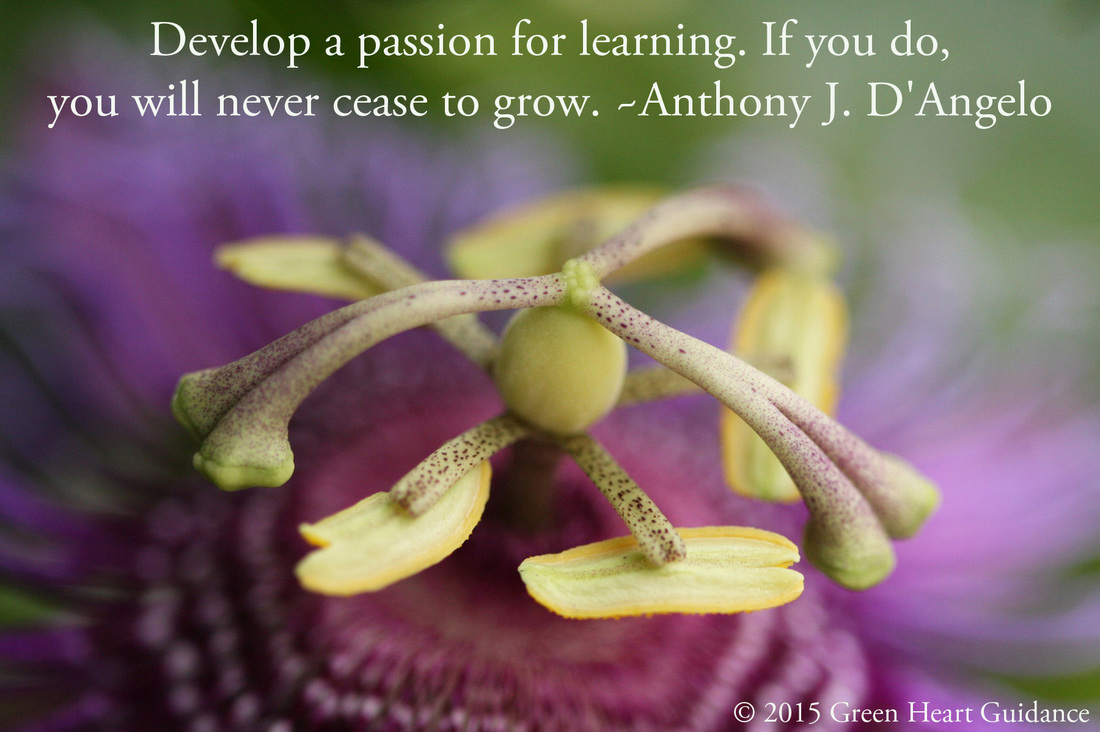 Develop a passion for learning. If you do, you will never cease to grow. ~Anthony J. D'Angelo