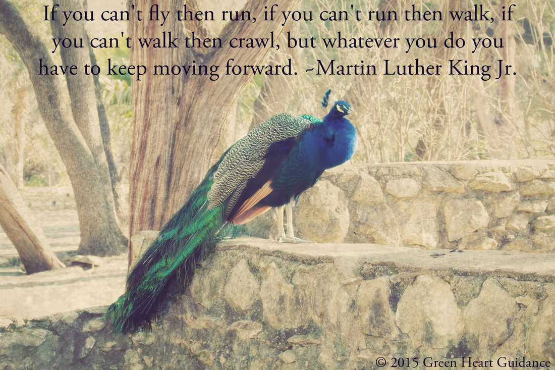 If you can't fly then run, if you can't run then walk, if you can't walk then crawl, but whatever you do you have to keep moving forward. ~Martin Luther King Jr.