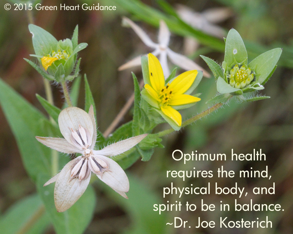 Optimum health requires the mind, physical body, and spirit to be in balance. ~Dr. Joe Kosterich