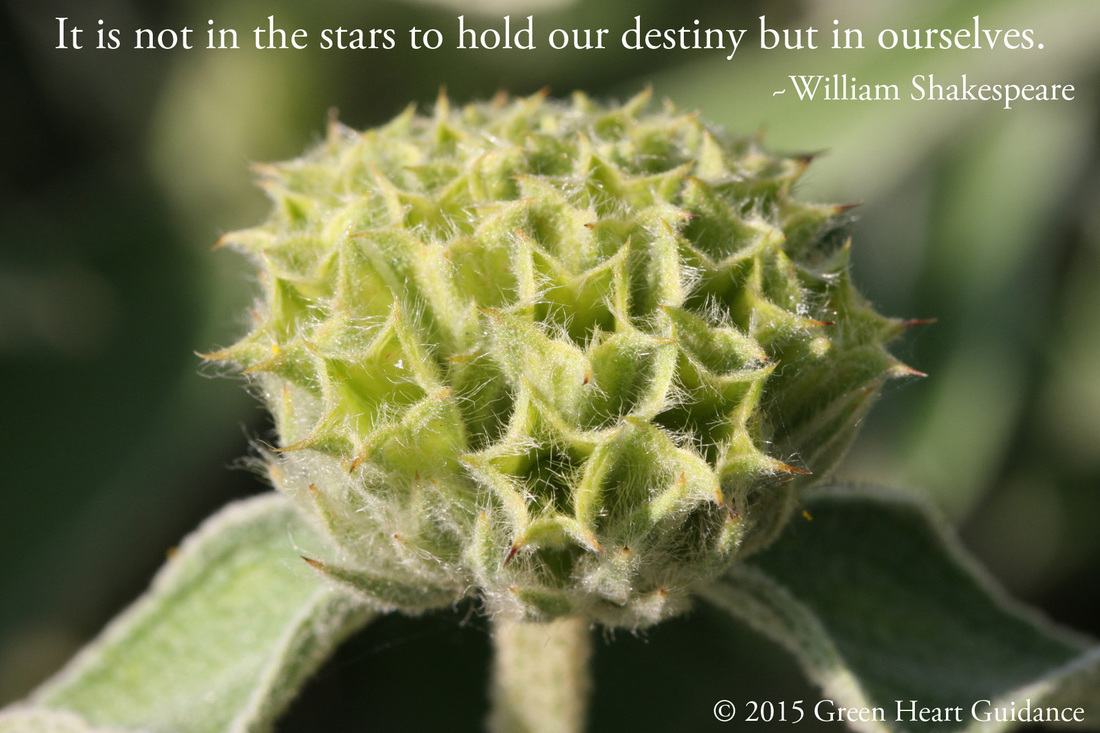 It is not in the stars to hold our destiny but in ourselves. ~William Shakespeare