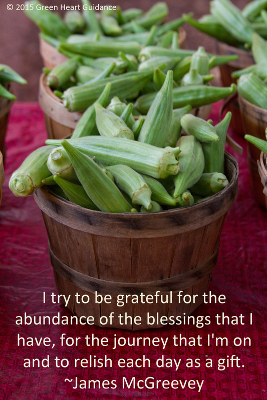 I try to be grateful for the abundance of the blessings that I have, for the journey that I'm on and to relish each day as a gift. ~James McGreevey