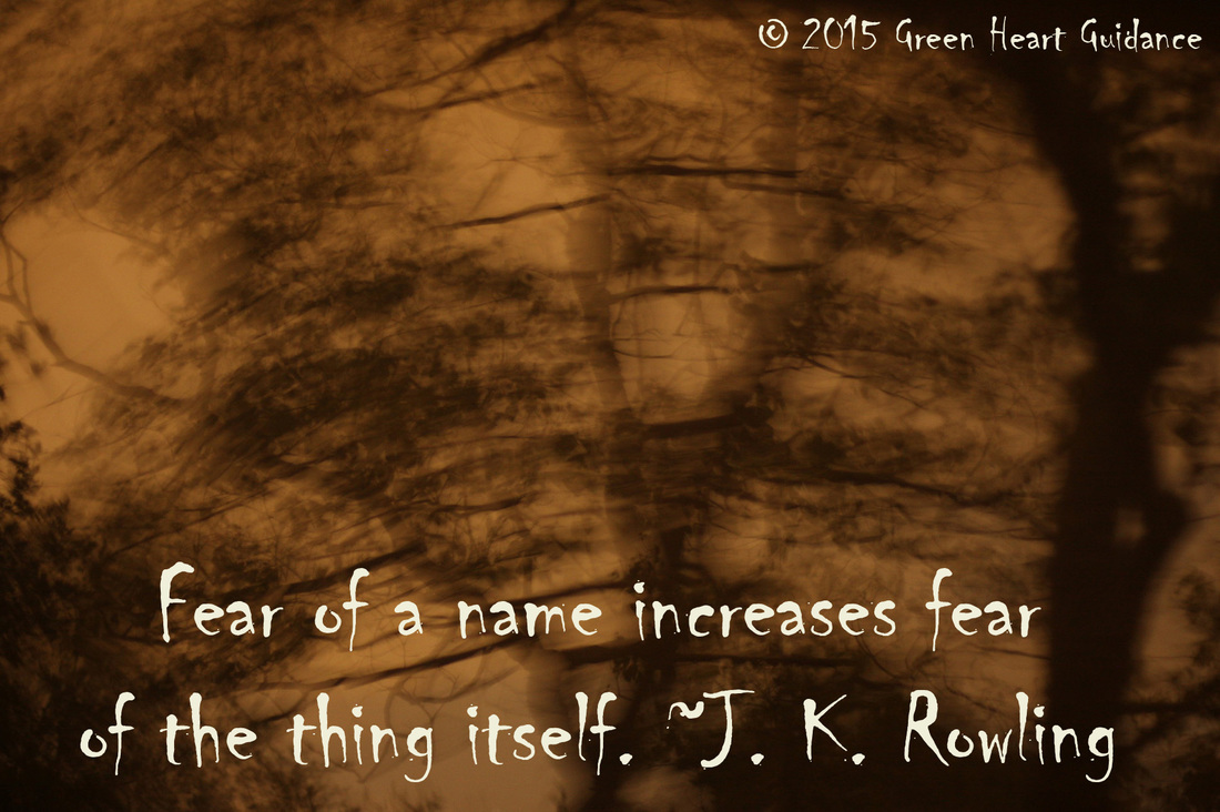 Fear of a name increases fear of the thing itself. ~J. K. Rowling