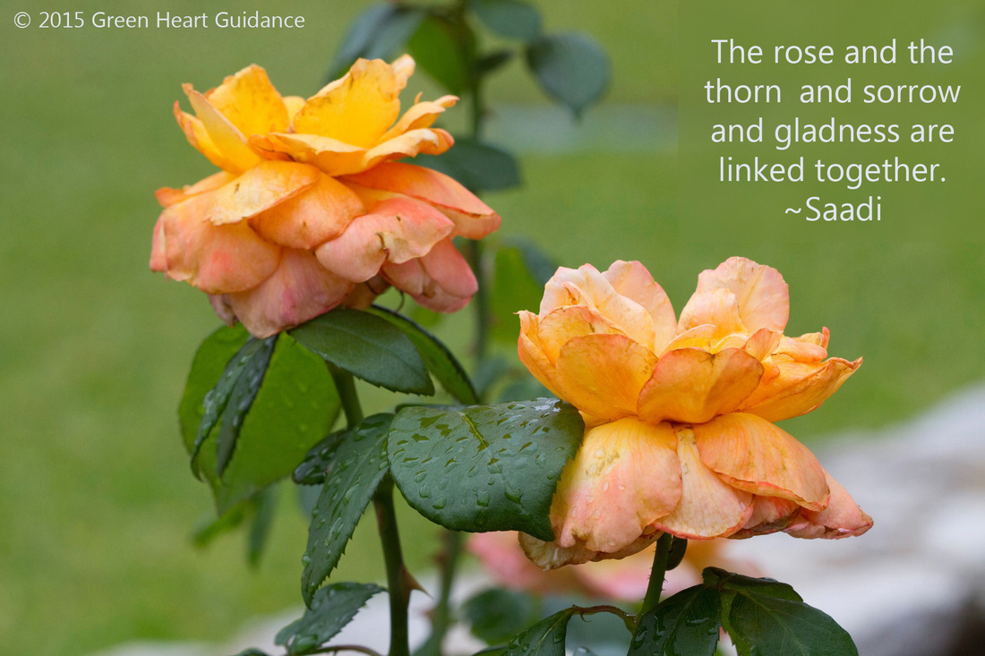 The rose and the thorn and sorrow and gladness are linked together. ~Saadi