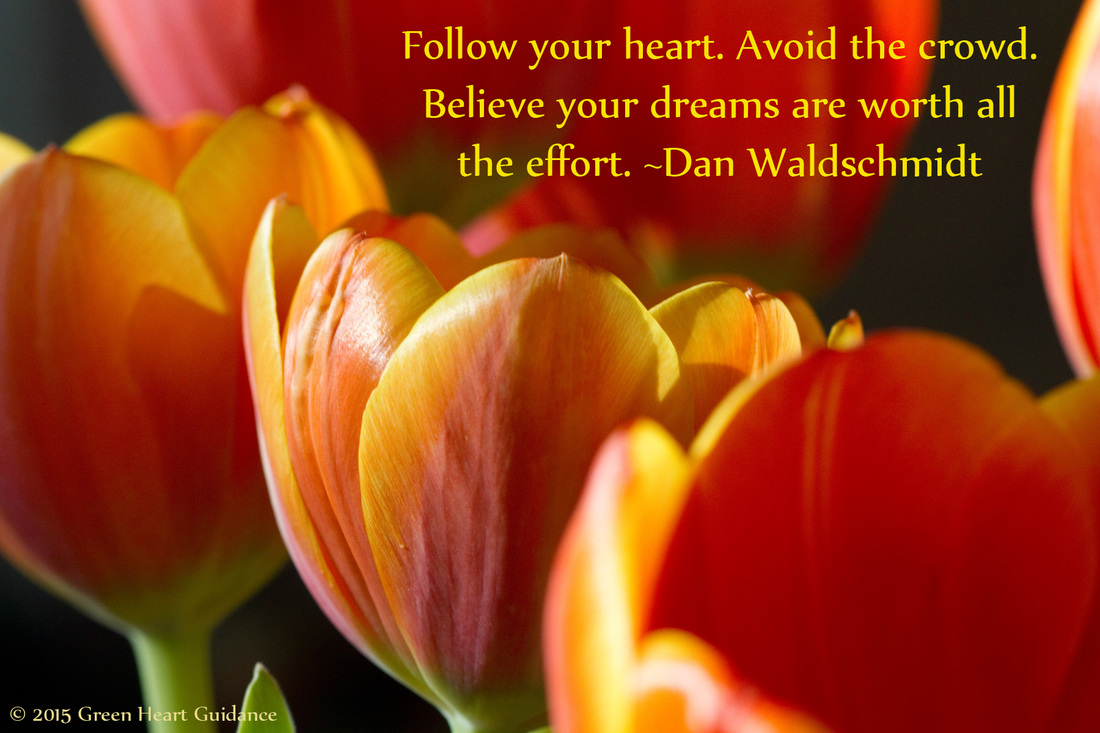 Follow your heart. Avoid the crowd. Believe your dreams are worth all the effort. ~Dan Waldschmidt 