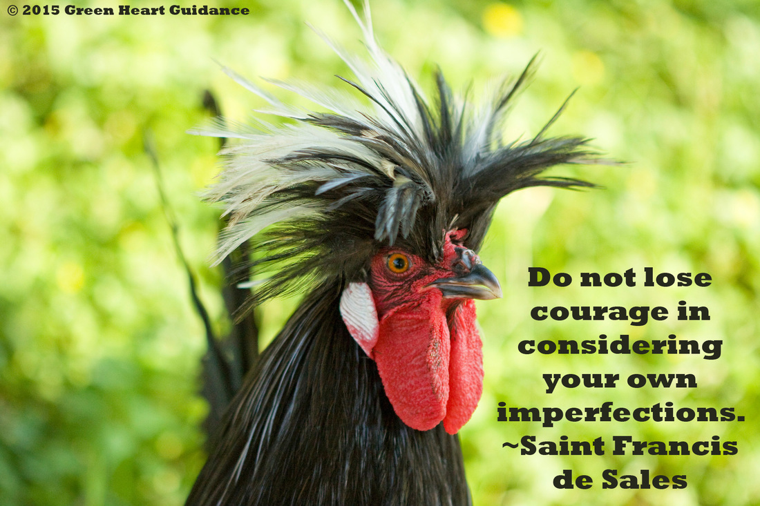 Do not lose courage in considering your own imperfections. ~Saint Francis de Sales