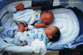 The Blessings of Twins by Elizabeth Galen, Ph.D.