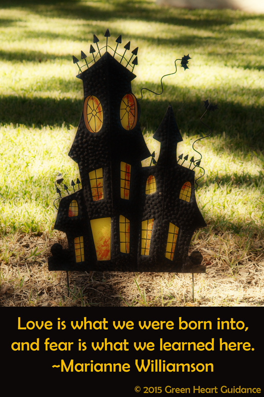 Love is what we were born into, and fear is what we learned here. ~Marianne Williamson