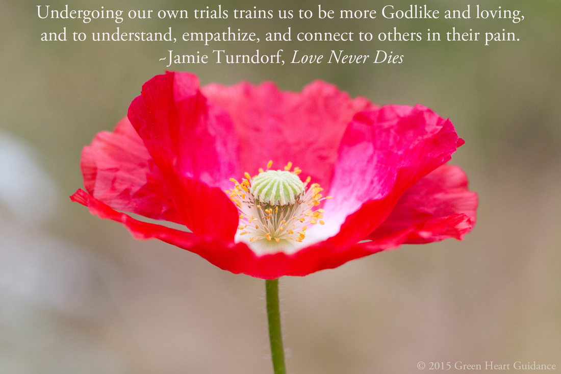 Undergoing our own trials trains us to be more Godlike and loving, and to understand, empathize, and connect to others in their pain. ~Jamie Turndorf, Love Never Dies