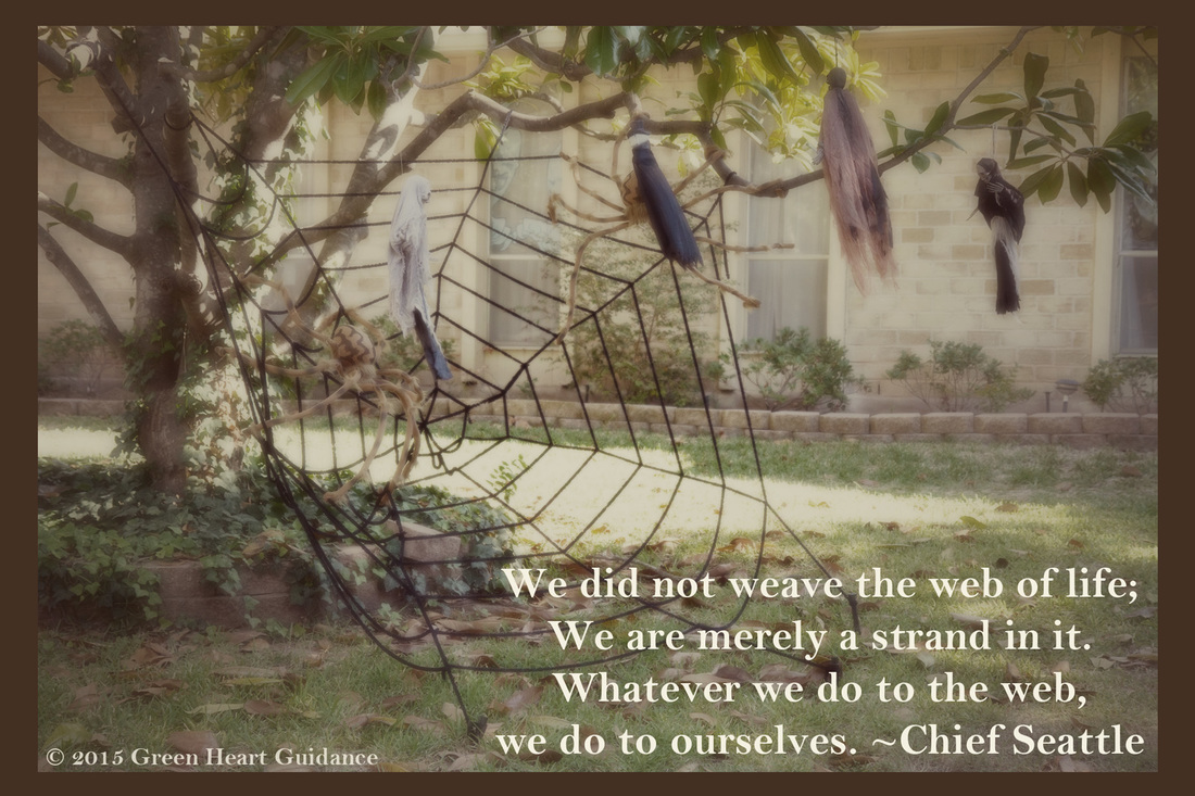 We did not weave the web of life; We are merely a strand in it. Whatever we do to the web, we do to ourselves. ~Chief Seattle
