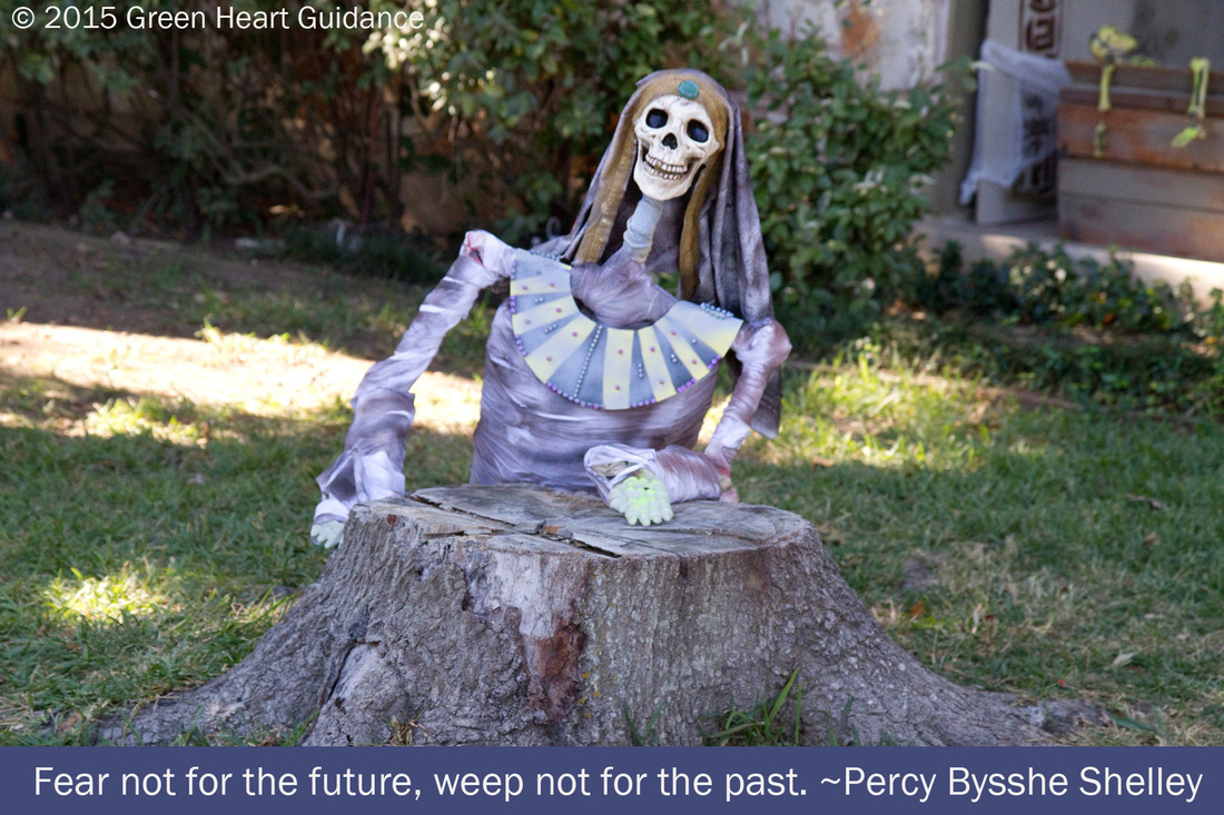 Fear not for the future, weep not for the past. ~Percy Bysshe Shelley