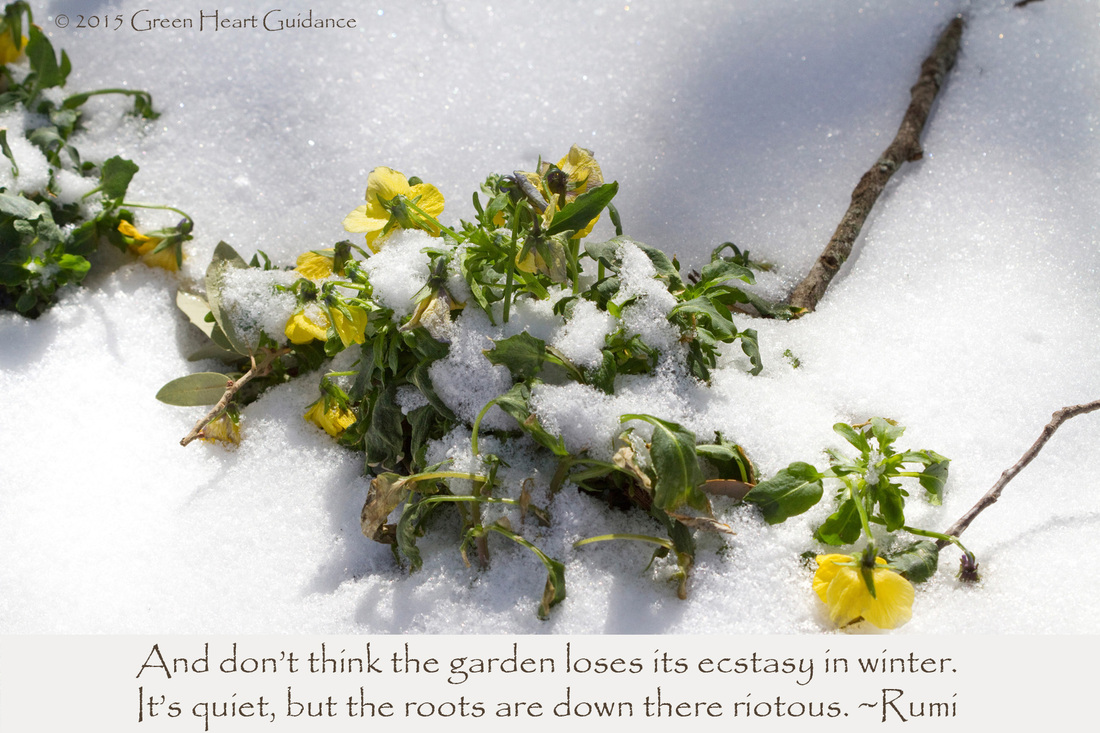 And don't think the garden loses its ecstasy in winter. It's quiet, but the roots are down there riotous. ~Rumi