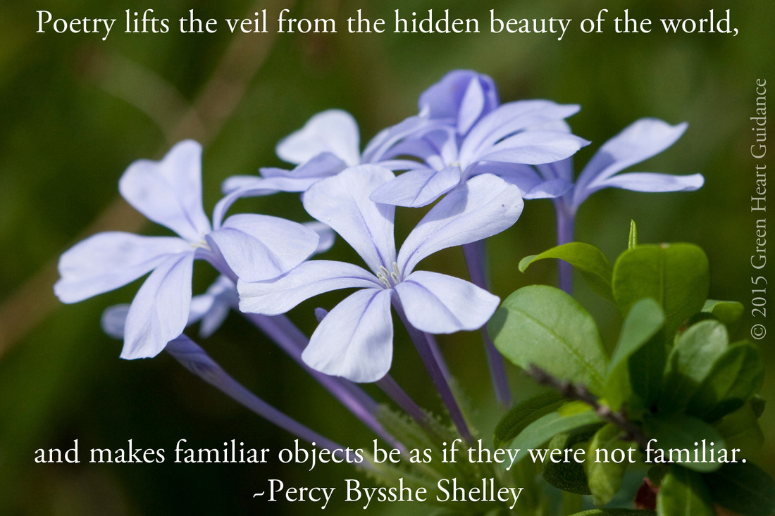 Poetry lifts the veil from the hidden beauty of the world, and makes familiar objects be as if they were not familiar. ~Percy Bysshe Shelley
