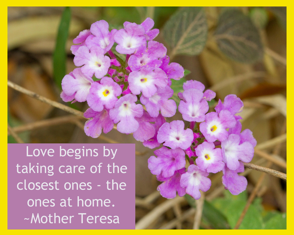 Love begins by taking care of the closest ones - the ones at home. ~Mother Teresa