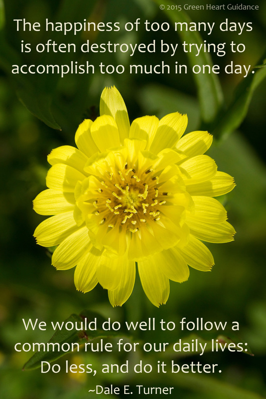 The happiness of too many days is often destroyed by trying to accomplish too much in one day. We would do well to follow a common rule for our daily lives: Do less, and do it better. ~Dale E. Turner