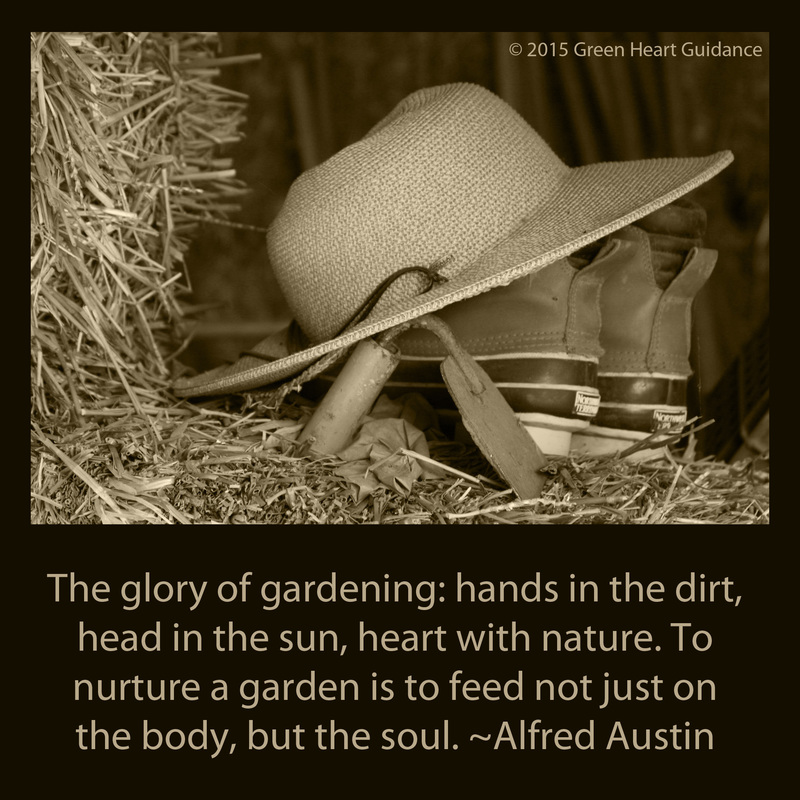 The glory of gardening: hands in the dirt, head in the sun, heart with nature. To nurture a garden is to feed not just on the body, but the soul. ~Alfred Austin 