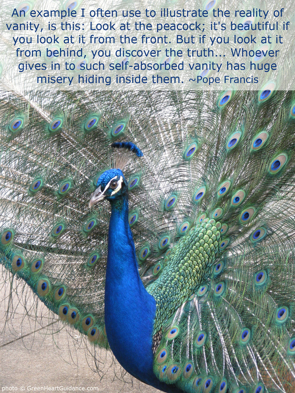 An example I often use to illustrate the reality of vanity is this: Look at the peacock; it's beautiful if you look at it from the front. But if you look at it from behind, you discover the truth... Whoever gives in to such self-absorbed vanity has huge misery hiding inside of them. ~Pope Francis