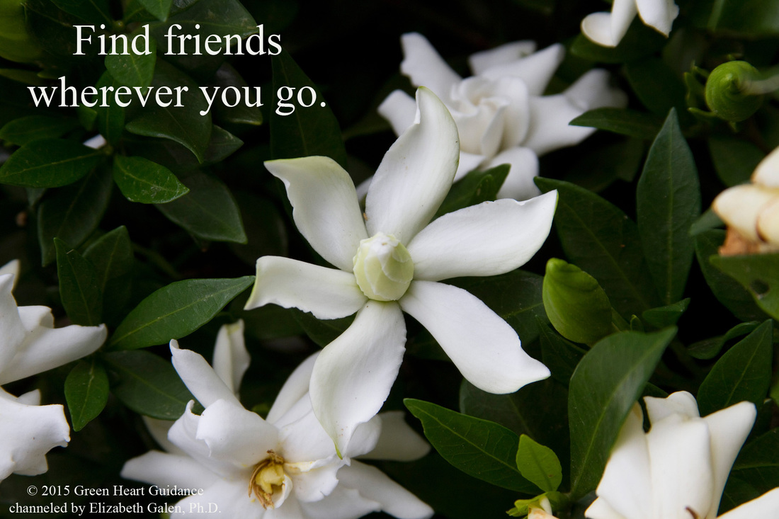 Find friends wherever you go. ~channeled by Elizabeth Galen, Ph.D.
