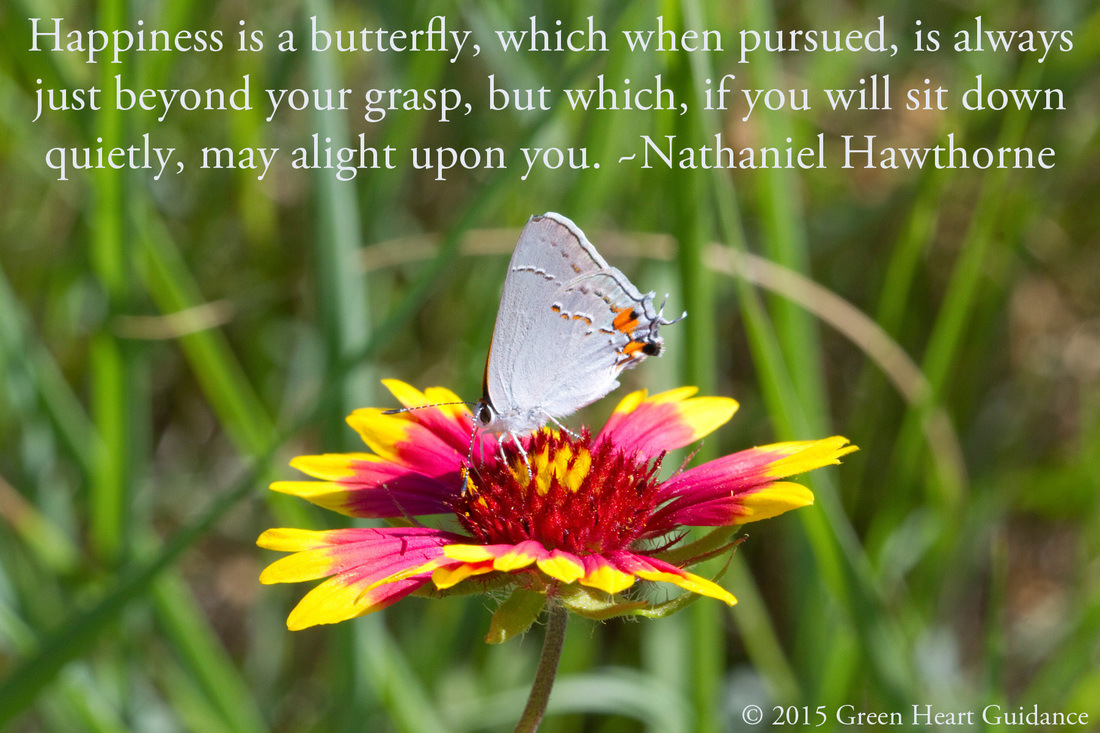 Happiness is a butterfly, which when pursued, is always just beyond your grasp, but which, if you will sit down quietly, may alight upon you. ~Nathaniel Hawthorne