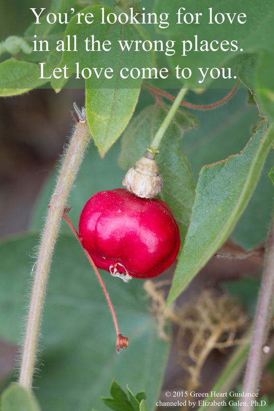 You’re looking for love in all the wrong places. Let love come to you. ~channeled by Elizabeth Galen, Ph.D.