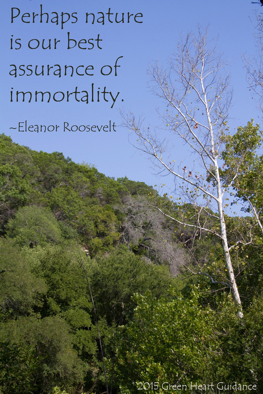 Perhaps nature is our best assurance of immortality. ~Eleanor Roosevelt
