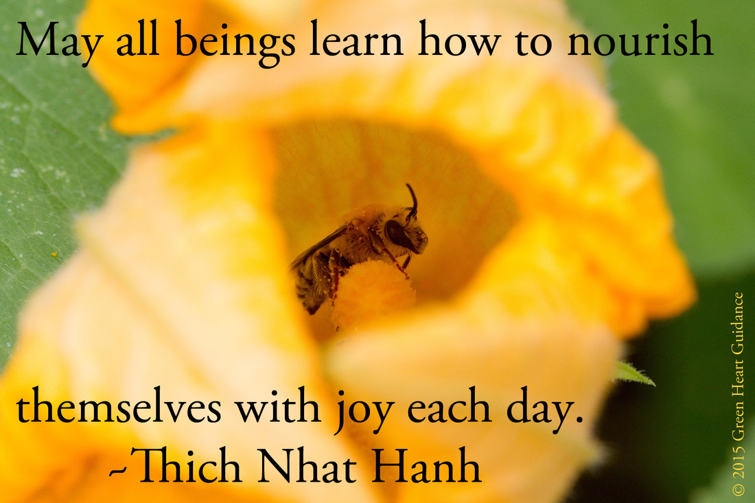 May all beings learn how to nourish themselves with joy each day. ~Thich Nhat Hanh