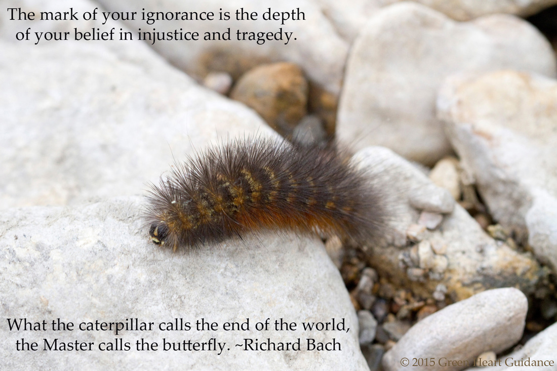The mark of your ignorance is the depth of your belief in injustice and tragedy. What the caterpillar calls the end of the world, the Master calls the butterfly. ~Richard Bach