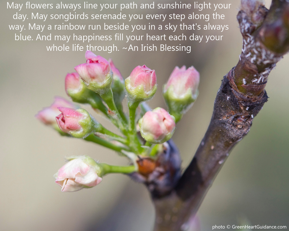 May flowers always line your path and sunshine light your day. May songbirds serenade you every step along the way. May a rainbow run besides you in a sky that's always blue. And may happiness fill your heart each day your whole life through. ~An Irish Blessing