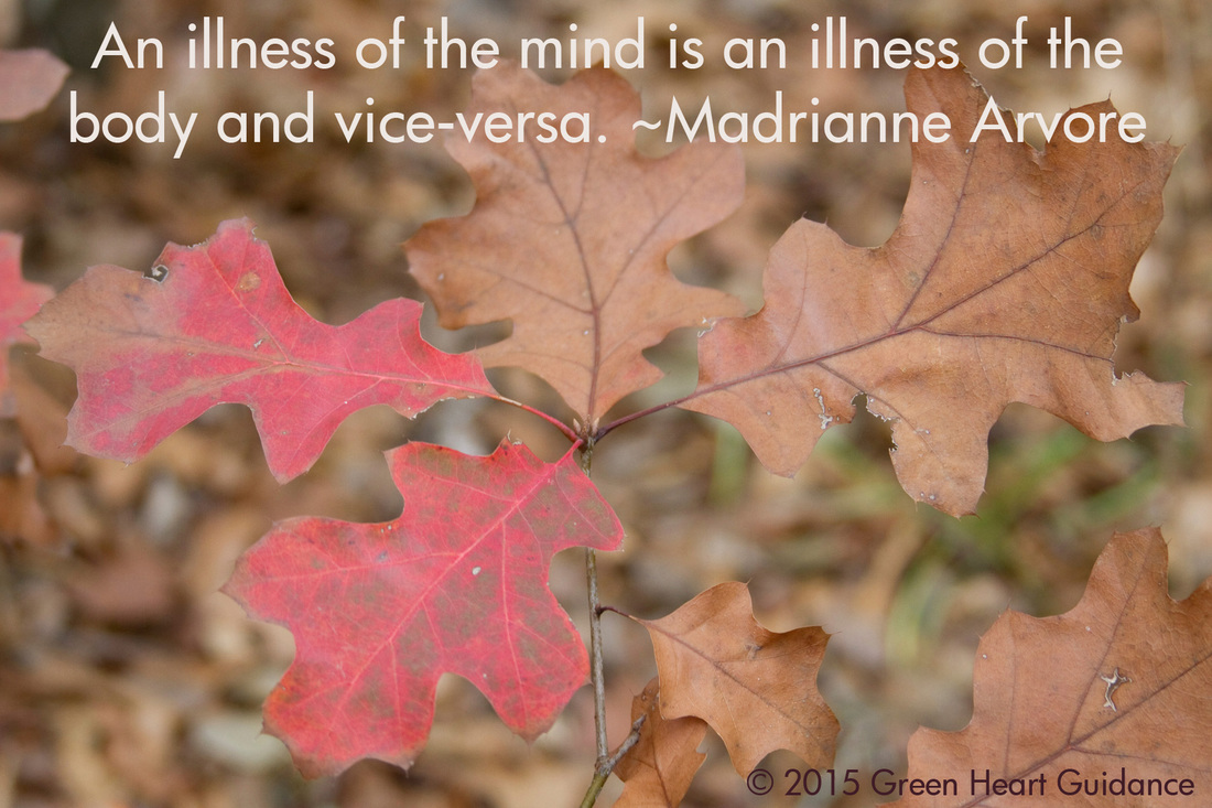 An illness of the mind is an illness of the body, and vice-versa. ~Madrianne Arvore