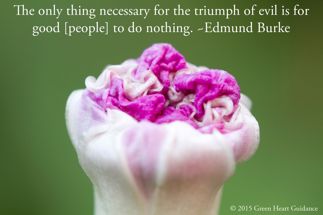 The only thing necessary for the triumph of evil is for good [people] to do nothing. ~Edmund Burke